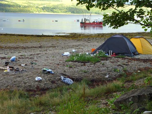 camp_litter1 camp_litter1