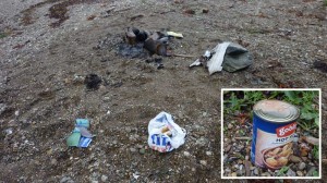 camp_litter2