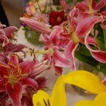 It's time to get ready for the Ardentinny Flower & Craft Show 2010