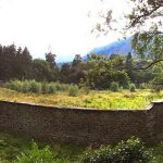 Update on Walled Garden Project