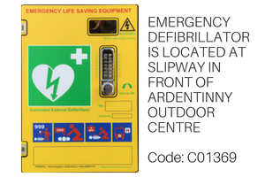 Emergency defibrillator