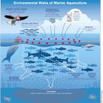 Local environmental group attends Bute meeting