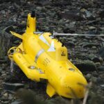 The Ardentinny Archives: Feb 2008 - O'er the Hill to Ardentinny was a yellow submarine