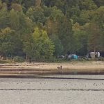 Ardentinny beach picnic area proposals