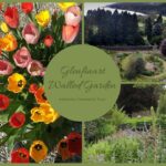 Glenfinart Walled Garden reopens